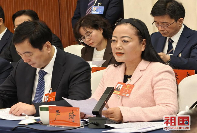 全国人大代表严琦：以“渝味360碗”打造美食IP 助力重庆建设国际消费中心城市